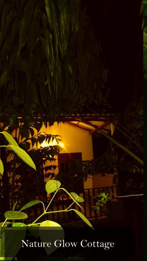 Nature Glow Cottage Udawalawe Exterior foto