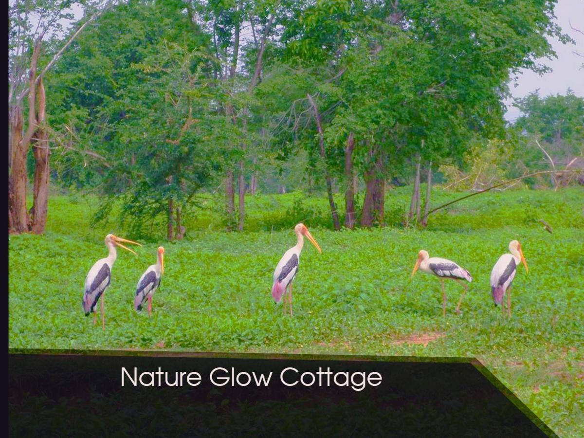 Nature Glow Cottage Udawalawe Exterior foto