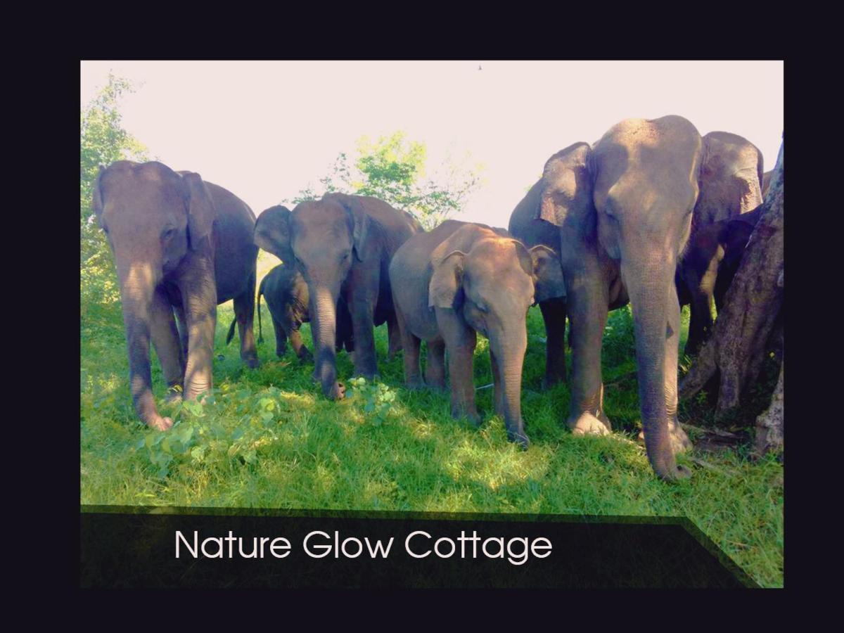 Nature Glow Cottage Udawalawe Exterior foto